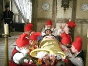 Belle au bois dormant, brunes