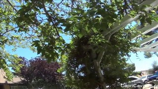 Blondes Mädchen auf einer Schaukel, Der Arsch