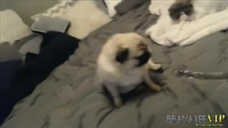 Schöne hervorstehende Brustwarzen, Große Titten