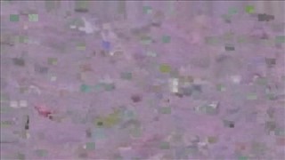 Tirer poussin aime se faire super baiser dans du cacao, Jeune Chatte