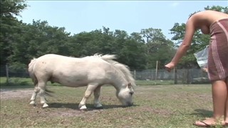 Sie füttert die Tiere nackt, Große Titten