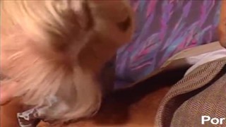 Délice allemand devant la caméra, Anal